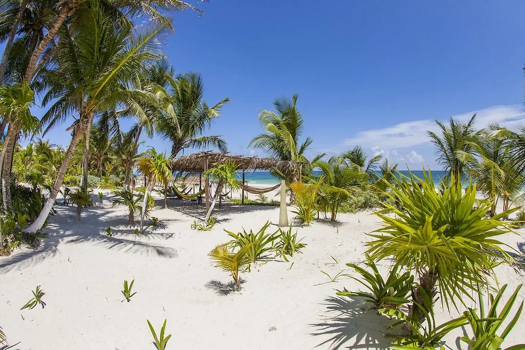 Mestizo Hotel Boutique Tulum