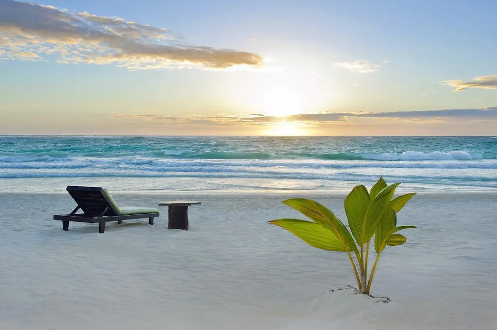 Mestizo Hotel Boutique Tulum 4*,  México